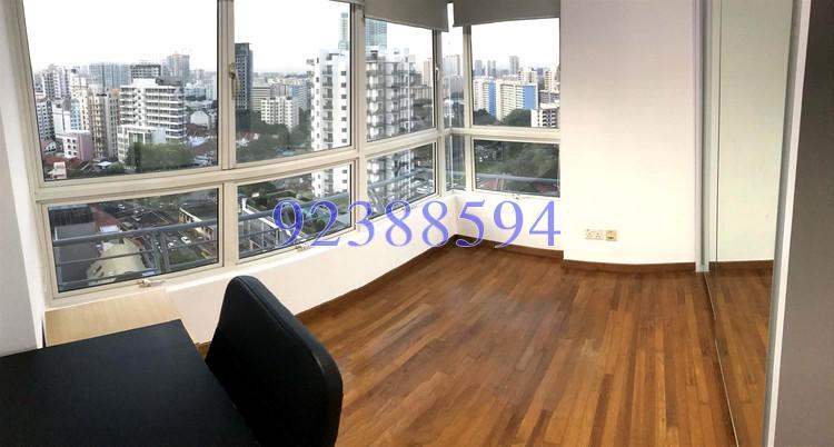 Rocca Balestier (D12), Apartment #158412242